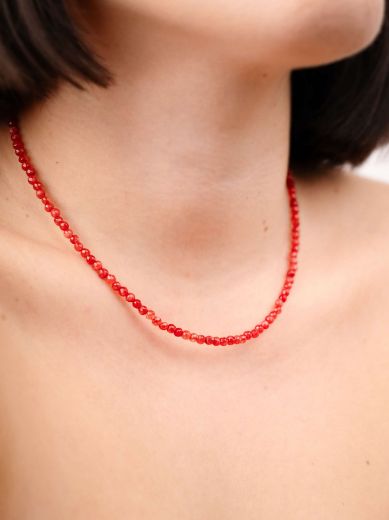 Εικόνα της Pόζα